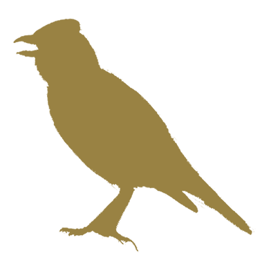 logo-calandra-site2.png